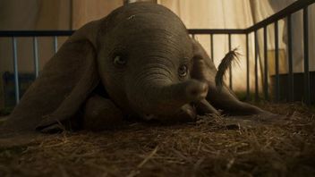 Dumbo wzleciał na szczyt Box Office, choć nie zrobił furory