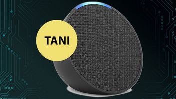 Nie musisz posiadać dużo pieniędzy, żeby mieć głośnik z Alexą