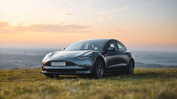 Po polskich drogach jeździ już ponad 50 tys. całkowicie elektrycznych samochodów