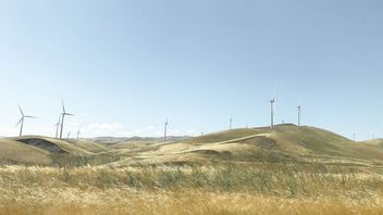 Google w partnerstwie z Grupą Polsat; celem jest czysta i zielona energia