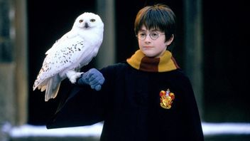 Daniel Radcliffe przyznał, że regularnie rozczarowuje fanów Harry'ego Pottera