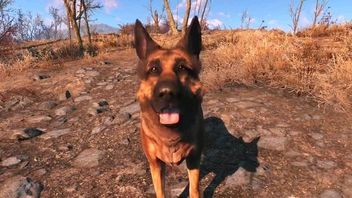 Fallout 4 – szczegóły na temat towarzyszy oraz film prezentujący prawdziwego Ochłapa