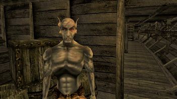 Morrowind otrzyma polski dubbing w połowie listopada, zobacz nowy trailer