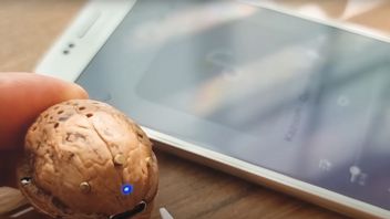 Youtuber zbudował głośnik z orzecha włoskiego, to naprawdę działa