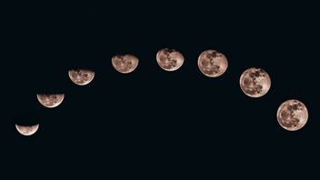 Astronauta Frank Borman, dowódca misji Apollo 8 na orbitę Księżyca, zmarł w wieku 95 lat