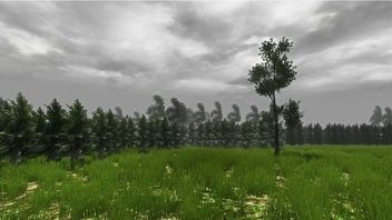 Grass Simulator 2014 – nadchodzi next-genowy symulator trawy!