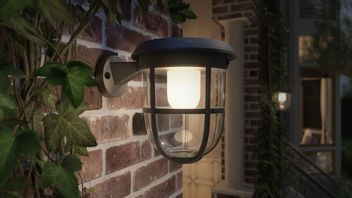 Te lampki solarne to marzenie każdego działkowca; trafią do sprzedaży już w styczniu