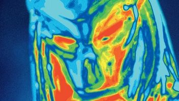 Predator bije Zakonnicę - weekendowy Box Office