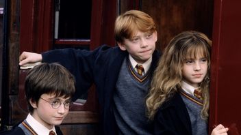 Wszystko, co wiemy o nowym serialu Harry Potter od Max