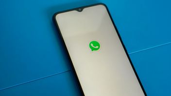 WhatsApp wreszcie umożliwia wysyłanie zdjęć i filmów w natywnej jakości: oto jak to zrobić na iPhonie i Androidzie
