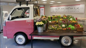 Skandal motoryzacyjny wstrząsnął Japonią; wstrzymana sprzedaż i oskarżenia o manipulacje przy testach bezpieczeństwa Daihatsu