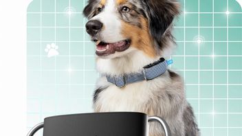 Z tą opaską nie będziecie musieli martwić się o bezpieczeństwo zwierzaka: zawiera nadajnik i monitoruje jego serce