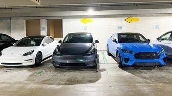 Jedna z największych wypożyczalni aut pozbywa się elektryków, powodem wysokie koszty napraw