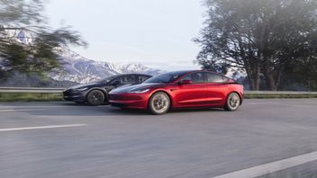 Tesla wyda miliardy dolarów na sprzęt Nvidii i AMD do AI