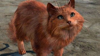 Baldur's Gate 3 da się przejść nawet jako kot i to bez żadnych modów. Największym przeciwnikiem są wówczas drzwi