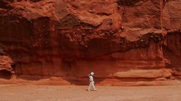 NASA poszukuje osób, które spędzą rok w symulacji życia na Marsie