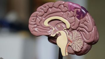 Elon Musk poinformował o przełomowym momencie dla Neuralink. Pierwszy pacjent może już kontrolować myszkę przy pomocy umysłu