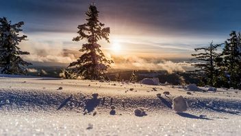 Chcecie poprawić sobie nastrój? Może Wam w tym pomóc ta lampka biurkowa