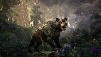 DLC za darmo. Tak twórcy ESO rozpoczynają obchody 10. rocznicy premiery