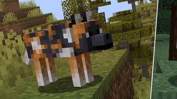Fani futrzaków radujcie się. Do Minecrafta dodano całą masę nowych wilków, aby każdy znalazł dla siebie idealnego