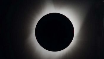 Amerykanie gromadzą zapasy żywności, wody i benzyny; przygotowują się na zbliżające się zaćmienie Słońca