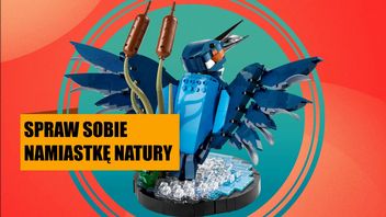 LEGO Zimorodek to wyjątkowy zestaw, który ożywi Twoje mieszkanie. Kupisz go w naprawdę świetnej cenie