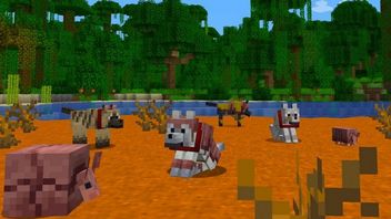 Dzięki tej jednej zmianie modowanie Minecrafta ma być „20 razy łatwiejsze”. Projektanci modyfikacji docenili nowość
