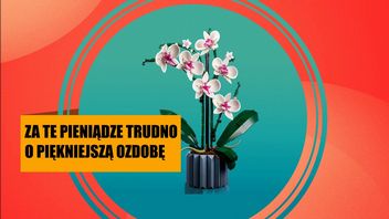 LEGO Orchidea to zestaw, który oczaruje Was nie tylko wyglądem, ale też ceną. To idealna ozdoba dla osób, które potrafią uśmiercić każdą żywą roślinkę