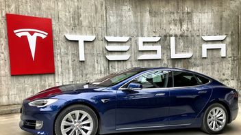 Najpierw pożar, teraz próba wtargnięcia. Kolejne kłopoty fabryki Tesli w Niemczech