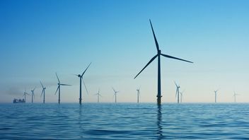 Coraz tańszy prąd z OZE, według naukowców energia z wiatru jest bardziej opłacalna od innych źródeł