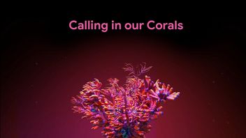 Google może pomóc w ratowaniu raf koralowych. Umożliwi to AI