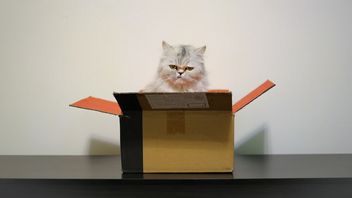 Jak zrobić zwrot na Vinted? Opisujemy całą procedurę