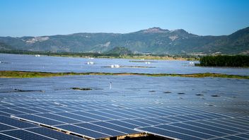 6 miliardów kilowatogodzin na 133 kilometrach kwadratowych. Największa na świecie elektrownia słoneczna została podłączona do sieci