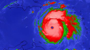 Eksperci ostrzegali przed huraganem. X uznał to za dezinformację