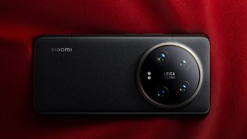Pięć telefonów komórkowych Xiaomi niespodziewanie otrzymało dużą aktualizację. Co zawiera?