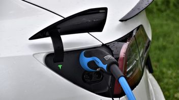 Naukowcy odkryli, jak wydłużyć żywotność baterii w samochodach elektrycznych