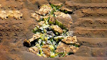 NASA dokonała niecodziennego odkrycia. Na Marsie znaleziono siarkę