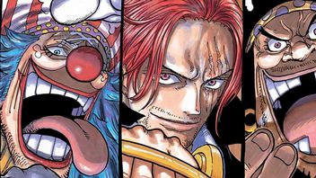 W ostatecznej bitwie w One Piece prawdopodobnie zabraknie jednej z najsilniejszych postaci, ponieważ nie interesuje jej skarb