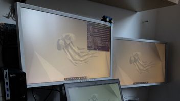 Linux zostawia daleko w tyle Windowsa 11 w testach wydajności gier na AMD Ryzen AI 9 365 i AMD Radeon 880M