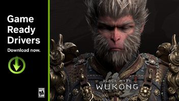 NVIDIA udostępniła już sterowniki Game Ready 560.94, wspierają one Black Myth: Wukong i Star Wars Outlaws