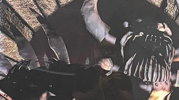 Po ponad 20 latach Brian Fargo odzyskał pamiątki i nagrody ze złotej ery Interplay