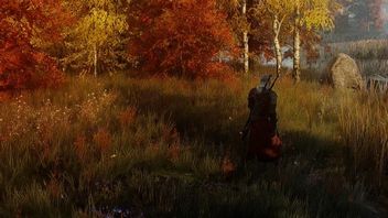 Wiosna, zima i jesień zawitały do świata Wiedźmina 3. Gra doczekała się pór roku w formie moda