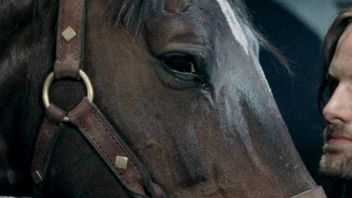 Viggo Mortensen tak przywiązał się do konia z planu Władcy Pierścieni, że po zakończeniu zdjęć odkupił go od właściciela