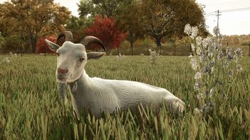 Projektując kozy, deweloperzy Farming Simulator 25 wykreowali stworzenia z legend