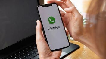 WhatsApp - jak wykonać połączenie głosowe i wideo? Opisujemy krok po kroku