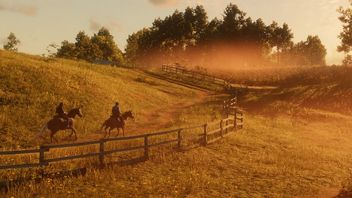 Mapa świata RDR narysowana przez jednego z fanów wzbudziła zachwyt internautów