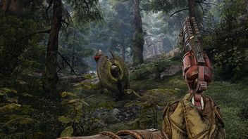 Polacy rozważają, skąd biorą się tak wysokie oceny dla strzelanki RPG Witchfire. „Może to zasługa tego słynnego algorytmu Steama?”