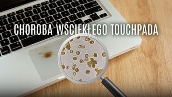 Gdy rodzina odkryła, że umiem w kąkuter, to się zaczęło. Rozmowa z serwisantem komputerów