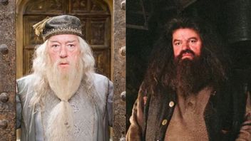 O rolę Dumbledore’a w nowym Harrym Potterze powalczy aktor z serialowej Diuny, gwiazda Teda Lasso może wcielić się w Hagrida