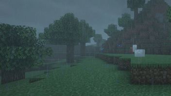 Po 14 latach rozwiązano jedną z największych tajemnic Minecrafta. Okazało się, że wcale nie była mistyfikacją